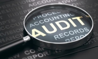 Audit Services